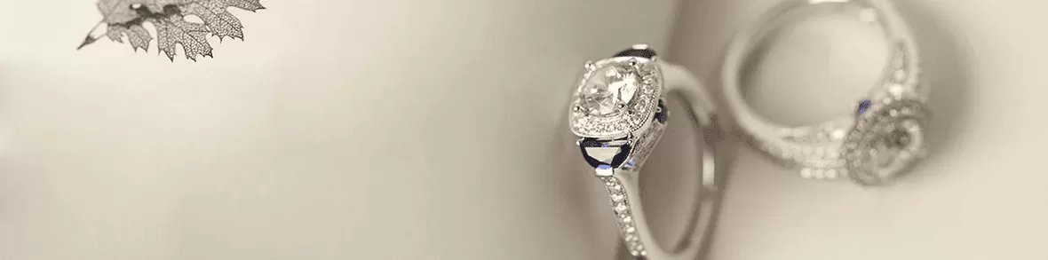 Giới thiệu | 7