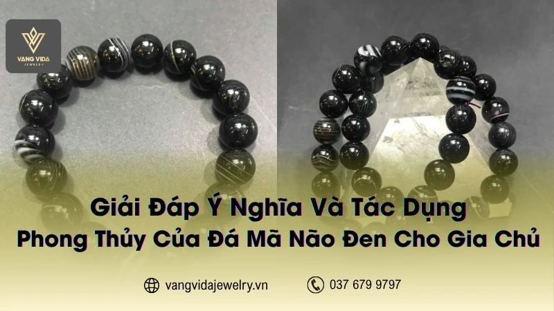 Mã não đen có nhiều tác dụng tuyệt vời