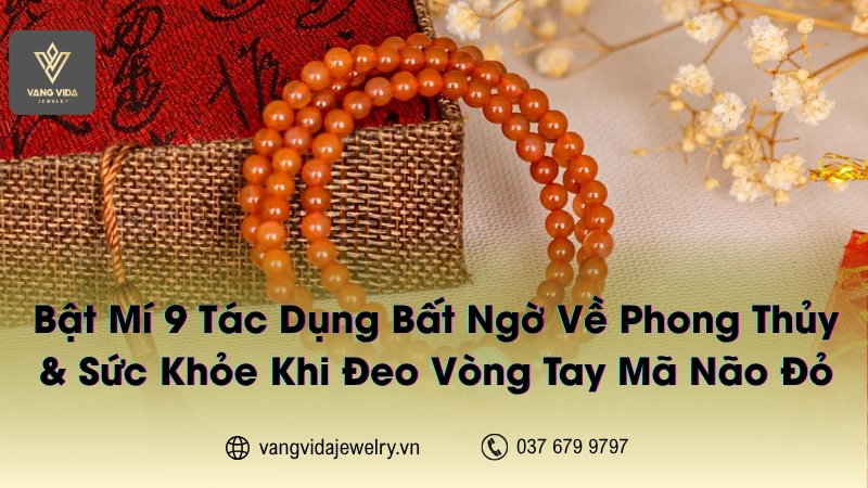 Mã não đỏ có nhiều tác dụng tuyệt vời mà có thể bạn chưa biết tới